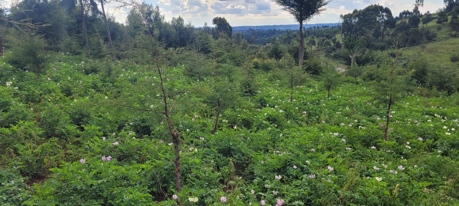 Community training session on climate resilience