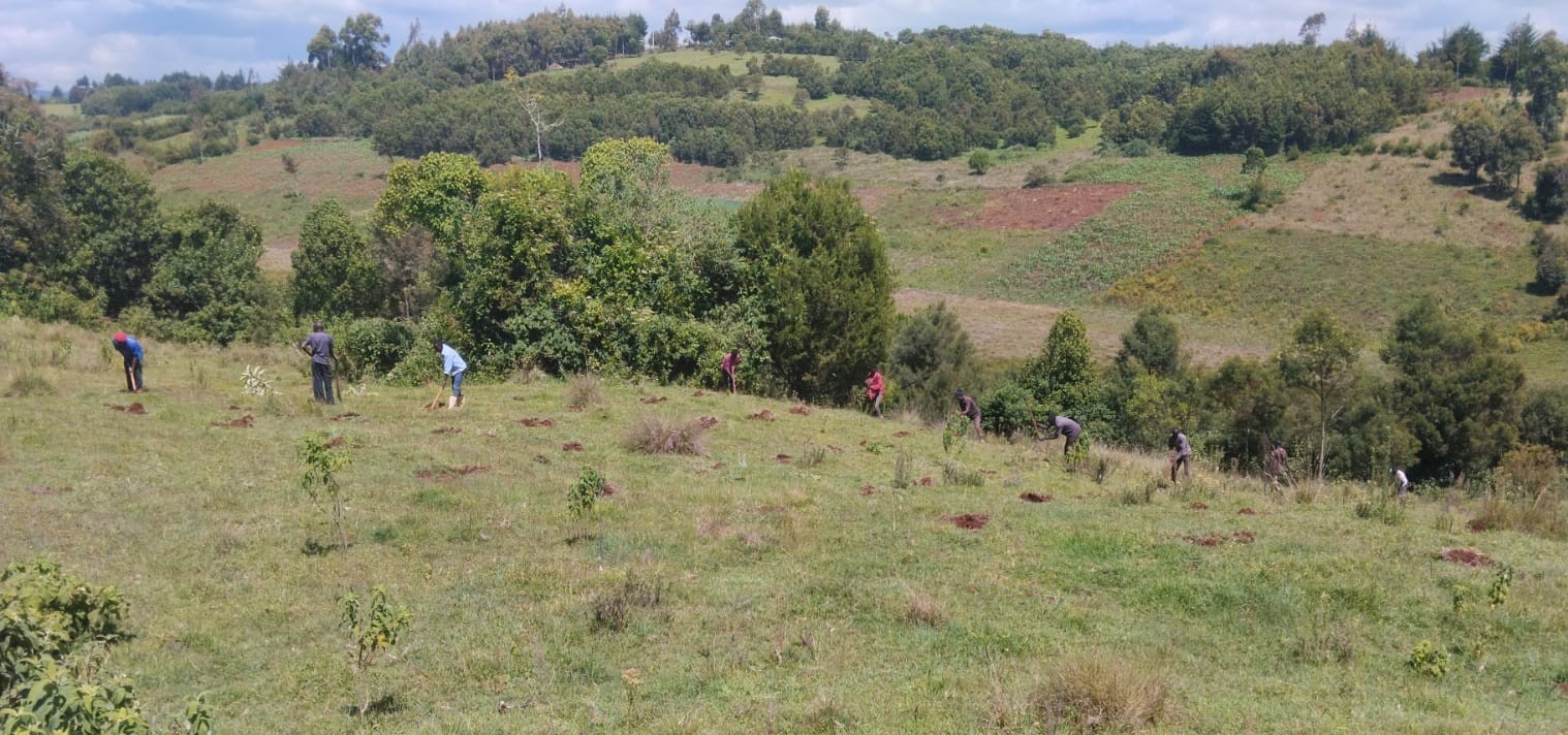 School children learning about conservation