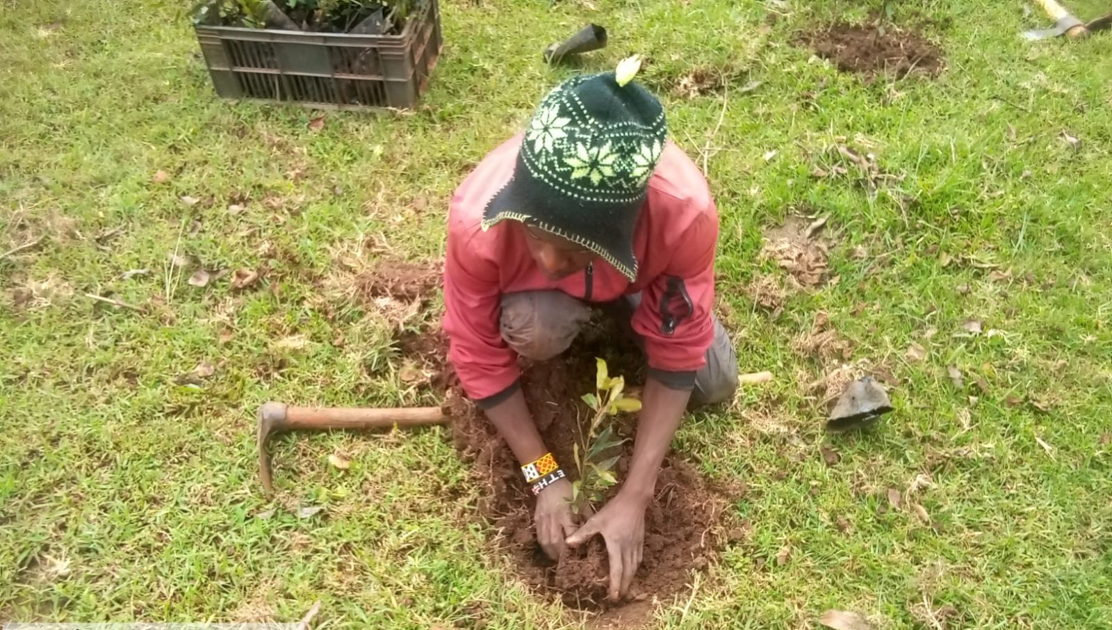 Volunteers planting trees in a degraded area