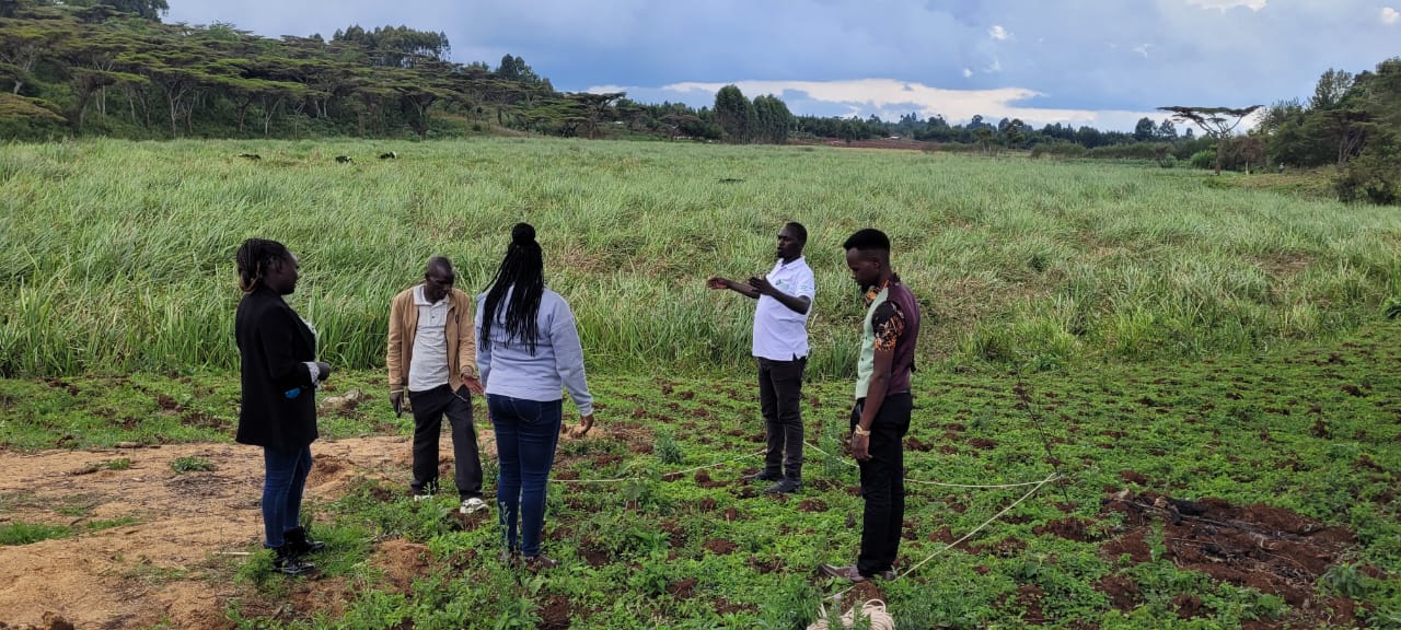 Wetland restoration project